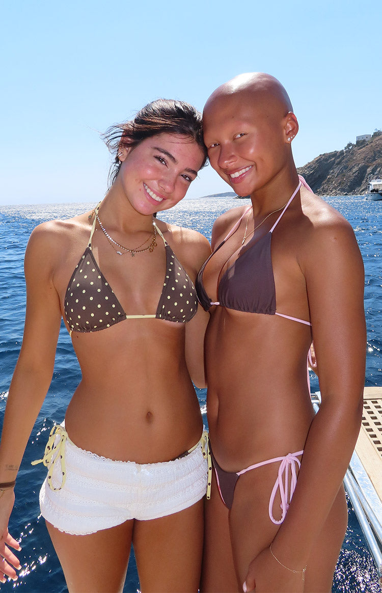 Florida Brown Polka Dot Triangle Bikini Top